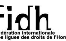 FIDH (Fédération internationale des ligues des droits de l'Homme) : "Note de situation" sur les crimes commis par les groupes islamistes dans le Nord du Mali.